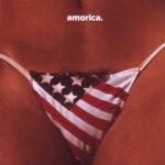 BLACK CROWES, amorica cover