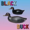 BLACK DUCK – s/t (CD, LP Vinyl)
