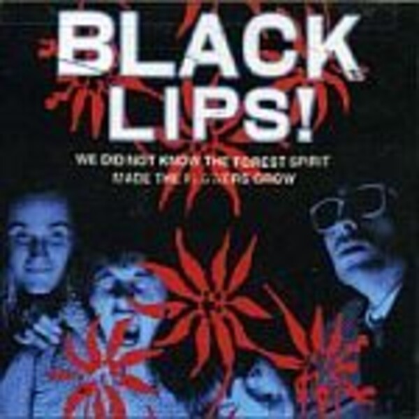 BLACK LIPS – we did not know (LP Vinyl)