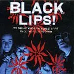 BLACK LIPS – we did not know (LP Vinyl)