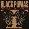 BLACK PUMAS – chronicles of a diamond (CD)