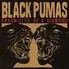 BLACK PUMAS – chronicles of a diamond (CD)