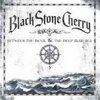 BLACK STONE CHERRY – between the devil & the deep blue sea (CD)
