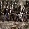 BLACK STONE CHERRY – folklore and superstition (LP Vinyl)