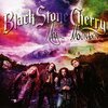 BLACK STONE CHERRY – magic mountain (CD, LP Vinyl)