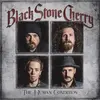 BLACK STONE CHERRY – the human condition (CD)