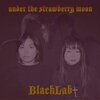 BLACKLAB – under the strawberry moon (CD)