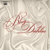 BLAG DAHLIA – introducing ralph champagne (LP Vinyl)