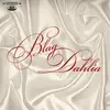 BLAG DAHLIA – introducing ralph champagne (LP Vinyl)