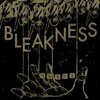 BLEAKNESS – words (7" Vinyl)