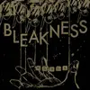 BLEAKNESS – words (7" Vinyl)