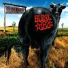 BLINK 182 – dude ranch (LP Vinyl)