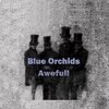 BLUE ORCHIDS – awefull (CD, LP Vinyl)