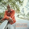 BOBBY HARDEN & THE SOULFUL SAINTS – bridge of love (LP Vinyl)