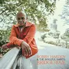BOBBY HARDEN & THE SOULFUL SAINTS – bridge of love (LP Vinyl)