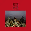 BONNIE PRINCE BILLY – i made a place (CD, LP Vinyl)