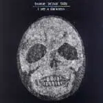 BONNIE PRINCE BILLY – i see a darkness (LP Vinyl)