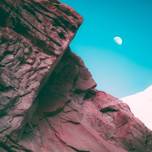 Cover BONOBO, linked