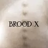 BOSS HOG – brood x (LP Vinyl)