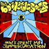 BOUNCING SOULS – how i spent my summer (LP Vinyl)