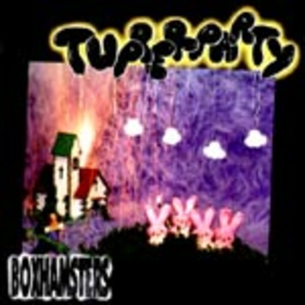 BOXHAMSTERS – tupperparty (CD)