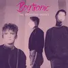 BOYTRONIC – the working model (LP Vinyl)