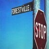 BRACKET – 924 forestville st (LP Vinyl)
