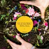 BRAIDS – euphoric recall (CD, LP Vinyl)