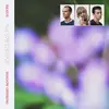 BRAIDS – shadow offering (LP Vinyl)