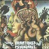 BRAINTICKET – psychonaut (LP Vinyl)