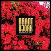 BRANT BJORK – bougainvillea suite (black/orange splatter) (LP Vinyl)