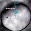 BRENDAN PERRY – eye of the hunter - live at the ica (CD, LP Vinyl)