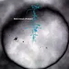 BRENDAN PERRY – eye of the hunter - live at the ica (CD, LP Vinyl)