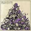 BRENK SINATRA – gumbo II:pretty ugly (LP Vinyl)