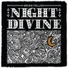 BRIAN FALLON – night divine (LP Vinyl)