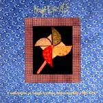 BRIGHT EYES – collection of songs 1995-1997 (CD, LP Vinyl)