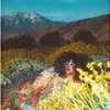 BRITTANY HOWARD – what now (CD)