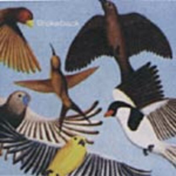Cover BROKEBACK, looks at the birds