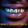 BROTHER JT – svelteness of boogietude (CD, LP Vinyl)