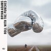 BRYAN ADAMS – roll with the punches (Boxen, CD, LP Vinyl)