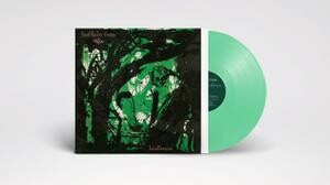 BUFFALO TOM – birdbrain (LP Vinyl)