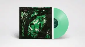 BUFFALO TOM – birdbrain (LP Vinyl)