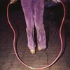 BUFFALO TOM – jump rope (CD, LP Vinyl)