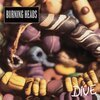 BURNING HEADS – dive (LP Vinyl)