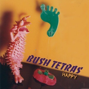 BUSH TETRAS, happy cover