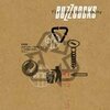 BUZZCOCKS – flat back philosophy (LP Vinyl)