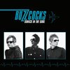 BUZZCOCKS – sonics in the soul (CD, LP Vinyl)