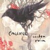 CALEXICO – garden ruin (LP Vinyl)