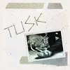 CAMPER VAN BEETHOVEN – tusk (RSD 2026) (LP Vinyl)
