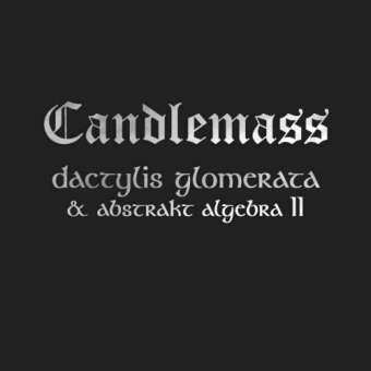 CANDLEMASS, dactylis glomerata cover
